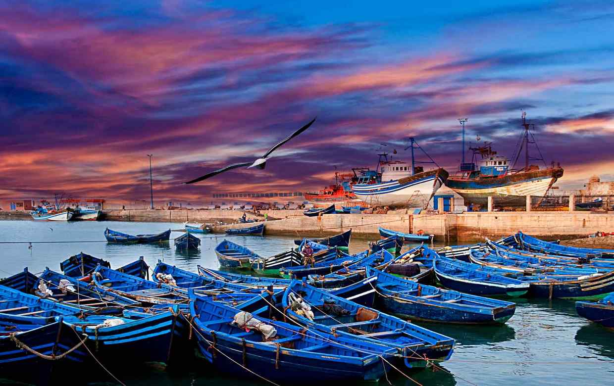 Read more about the article Essaouira Day Trip